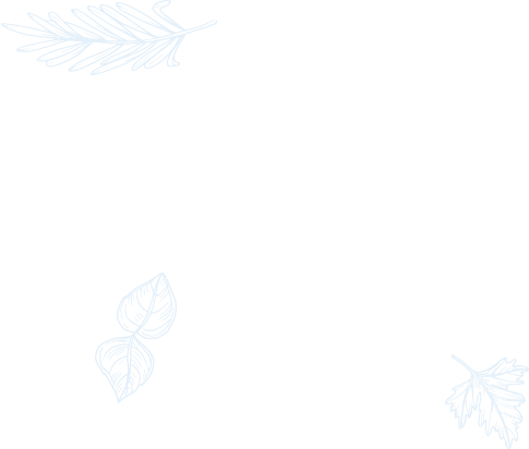 Brahmin catering services in Chennai |Best Caterers in Chennai | Vegetarian Caterers in Chennai | Brahmin Catering Services in Chennai | Best Catering Services in Chennai | Best Veg Caterers in Chennai